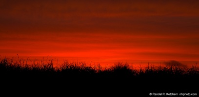 Sunset Over Dune Grass, Cape Lookout