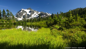 Mount Shuksan, Picture Lake, Green Meadow