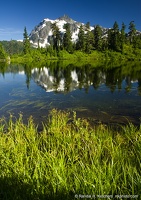 Mount Shuksan at Highwood Lake, Grassy Shore