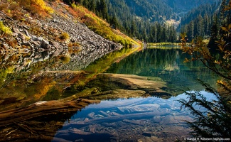 Fall Color on Coal Lake, Logs in Water