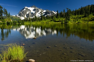 Mount Shuksan, Picture Lake, Tuft of Grass