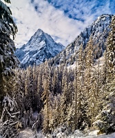 Sperry Peak, Tall Trees, Valley Below