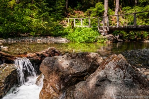 Barclay Lake Trail