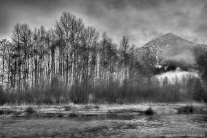 Cascade River, Stand of Trees, Lookout Mountain