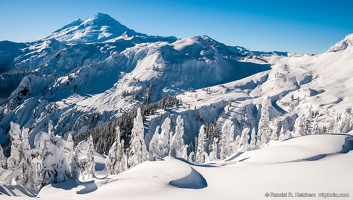 Mount Baker, Snow Trees