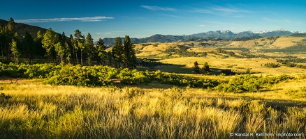 Sunrise, Grove, Methow Valley