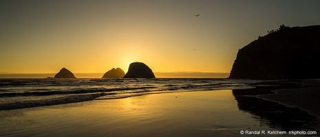 Sea Stacks at Oceanside, Birds Soaring, Setting Sun