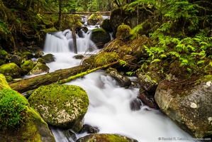 Twentytwo Creek, Flowing