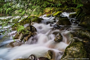 Twentytwo Creek, Flowing Into South Fork Stillaguamish River