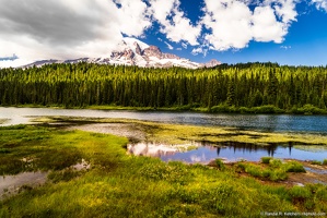 Mount Rainier, Reflection Lakes, Cloudy Day