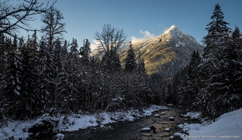 South Fork Stillaguamish River, Long Mountain, Cold Trees