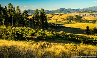 Sunrise, Grove, Hills, Methow Valley