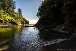 Deadman's Cove, Beach View