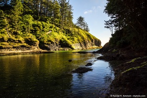 Deadman's Cove, Rocky Shore