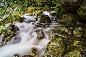 Twentytwo Creek, Green Rocks, Flowing Into South Fork Stillaguamish River