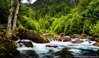 South Fork Sauk River, Summer Flow