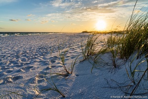 Okaloosa Island Sunset with Sea Oats