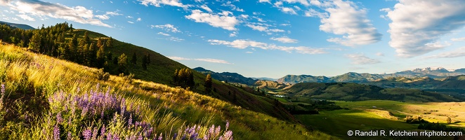 Methow Valley Panorama, Lupine, Pearrygin Lake