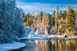 Stillaguamish River, Long Mountain, Frozen Trees