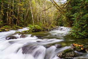 Money Creek, Birch Island