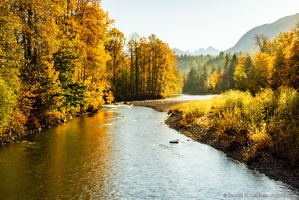 North Fork Stillaguamish River, Oso Loop Road, Fall