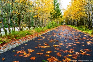 Whitehorse Trail Bridge, Leaves on Path, Toward River