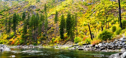 Tumwater Canyon Slope, Hill of Yellow