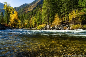 Tumwater Canyon, Splash of Yellow