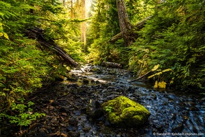 Coal Creek, Mossy Rock