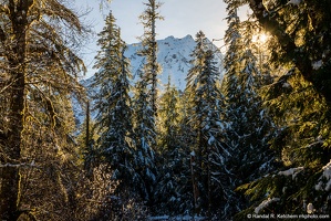 Haze on Big Four Through the Sunlit Forest