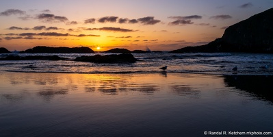 Seal Rock Sunset, Seagulls Chillin