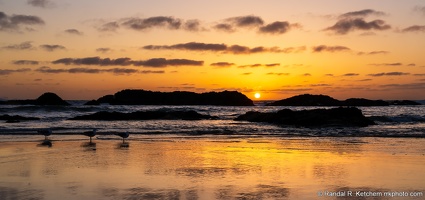Seal Rock Sunset, Three Seagulls