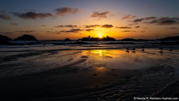 Seal Rock Sunset, Waves and Seagulls