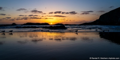 Seal Rock Sunset, Birds Flying High