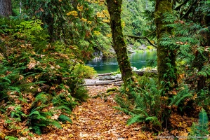 Fall Color on Eagle Falls Trail