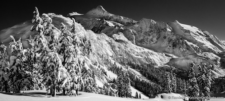 Mount Shuksan, Snow Trees, Black and White