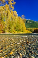 North Fork Stillaguamish River, Hazel Hole, Rocky River, Fall Color