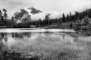 Mount Shuksan, Picture Lake, Shore Grass