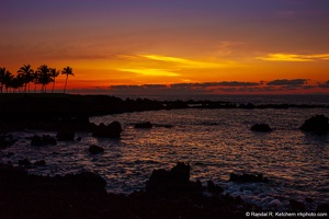 Mauna Lani Sunset, Palm Trees