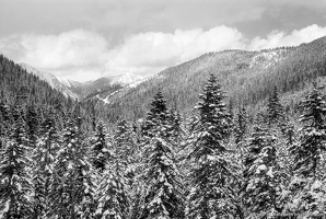 Stevens Pass, Winter Clouds