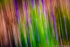 Purple Lavender Abstract