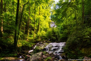 Amicalola Falls State Park Trail, Approaching the Falls