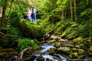 Anna Ruby Falls, York Creek, Summer Greenery