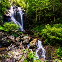 Anna Ruby Falls, York Creek, Rocky Base, Summer Greenery