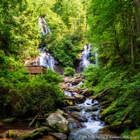 Anna Ruby Falls Overlook, Summer Greenery