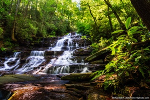 Minnehaha Falls, Lower Foliage