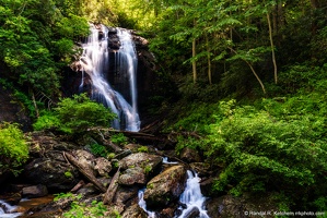 Anna Ruby Falls, York Creek, Rocky Base, Summer Greenery Landscape