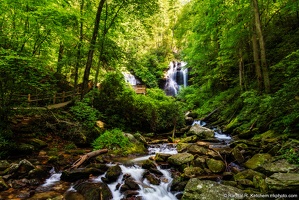 Anna Ruby Falls Overlook and Trail, Summer Greenery