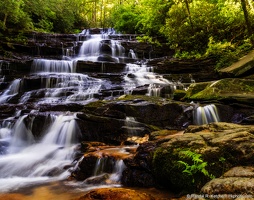 Minnehaha Falls, Where the Fern Grows
