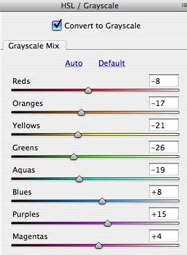 Black and White RAW Grayscale Settings